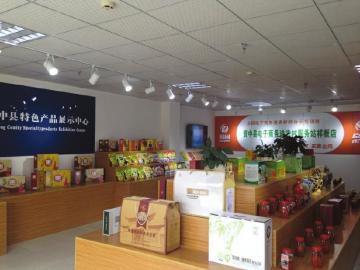 格力亮相2025墨西哥AHR展