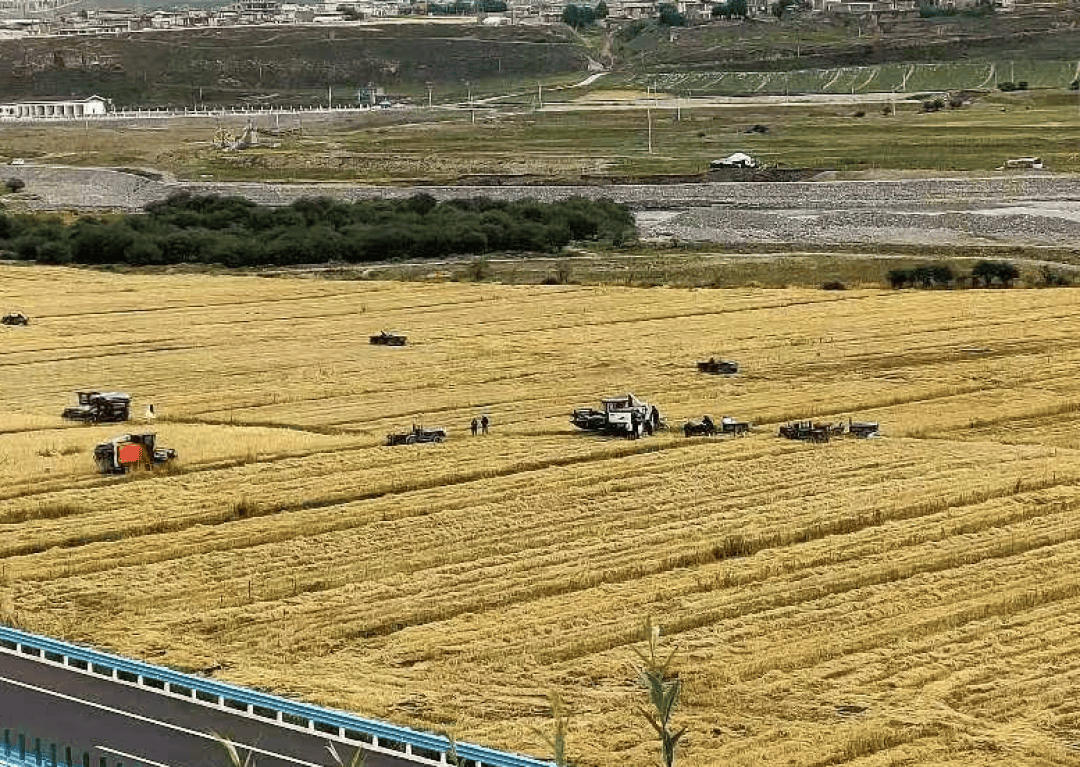 2025年中医药助力乡村振兴典型案例展示(二):缺氧不缺精神